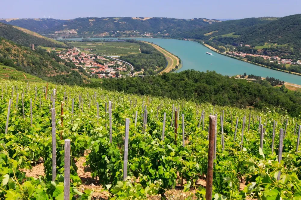 Coteaux-de-die à Vercheny
