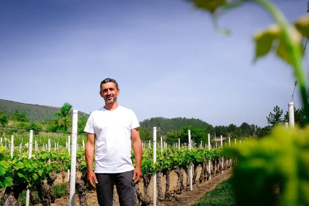 vigneron